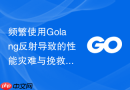 频繁使用Golang反射导致的性能灾难与挽救措施