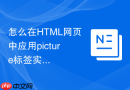 怎么在HTML网页中应用picture标签实现单页应用的无缝加载