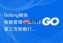 Golang模块依赖管理中如何将第三方依赖打包到本地运行