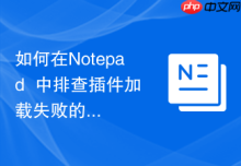 如何在Notepad++中排查插件加载失败的原因