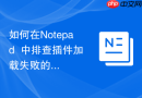 如何在Notepad++中排查插件加载失败的原因
