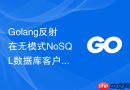 Golang反射在无模式NoSQL数据库客户端中的应用