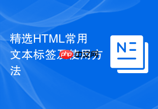 精选html常用文本标签及使用方法