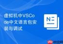 虚拟机中VSCode中文语言包安装与调试