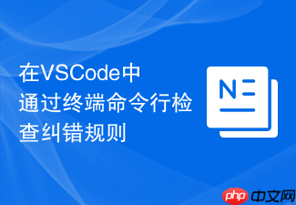 在vscode中通过终端命令行检查纠错规则