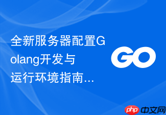 全新服务器配置golang开发与运行环境指南
