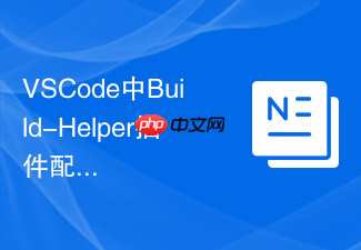 vscode中build-helper插件配置与多环境构建变量注入