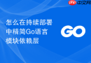 怎么在持续部署中精简Go语言模块依赖层