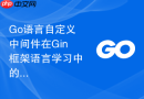 go语言自定义中间件在gin框架语言学习中的实现路径