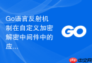 go语言反射机制在自定义加密解密中间件中的应用