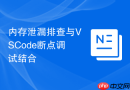 内存泄漏排查与vscode断点调试结合