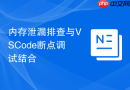 内存泄漏排查与VSCode断点调试结合