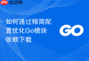 如何通过精简配置优化Go模块依赖下载