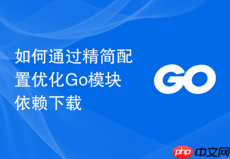 如何通过精简配置优化go模块依赖下载