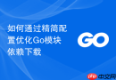 如何通过精简配置优化go模块依赖下载