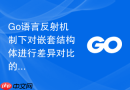 go语言反射机制下对嵌套结构体进行差异对比的高效算法