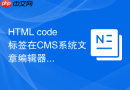 html code标签在cms系统文章编辑器中的配置