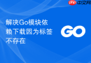 解决go模块依赖下载因为标签不存在
