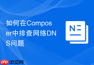 如何在composer中排查网络dns问题