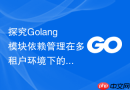 探究golang模块依赖管理在多租户环境下的最佳隔离方案