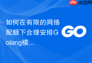 如何在有限的网络配额下合理安排Golang模块依赖下载优先级