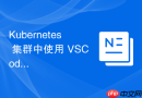 Kubernetes 集群中使用 VSCode 设置断点进行调试的指南