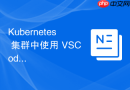 kubernetes 集群中使用 vscode 设置断点进行调试的指南