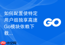 如何配置使特定用户组独享高速go模块依赖下载通道