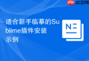 适合新手临摹的sublime插件安装示例