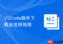VSCode插件下载全流程指南