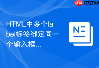 html中多个label标签绑定同一个输入框的测试