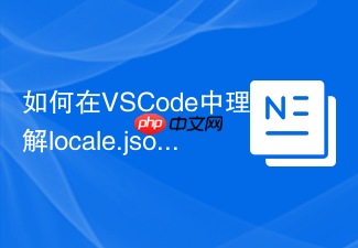如何在vscode中理解locale.json中的en配置