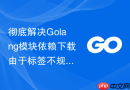 彻底解决Golang模块依赖下载由于标签不规范导致的解析失败