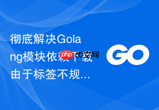 彻底解决golang模块依赖下载由于标签不规范导致的解析失败