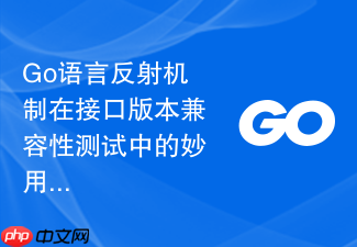 go语言反射机制在接口版本兼容性测试中的妙用