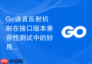 go语言反射机制在接口版本兼容性测试中的妙用