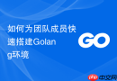 如何为团队成员快速搭建Golang环境