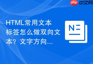 html常用文本标签怎么做双向文本?文字方向控制方法