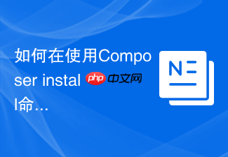 如何在使用composer install命令时隐藏敏感凭证