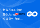 怎么在IDE中配置Golang开发规范？自动格式化设置教程