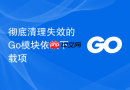 彻底清理失效的go模块依赖下载项