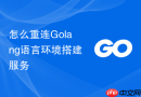 怎么重连Golang语言环境搭建服务