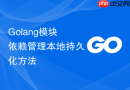 Golang模块依赖管理本地持久化方法