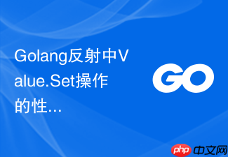 golang反射中value.set操作的性能限制说明