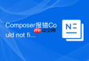 Composer报错Could not find package的解决方法（镜像排查）