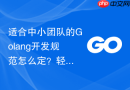 适合中小团队的Golang开发规范怎么定？轻量级规范化方案