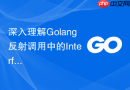 深入理解golang反射调用中的interface转化