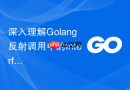 深入理解Golang反射调用中的Interface转化