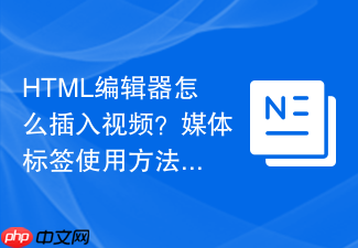 html编辑器怎么插入视频?媒体标签使用方法