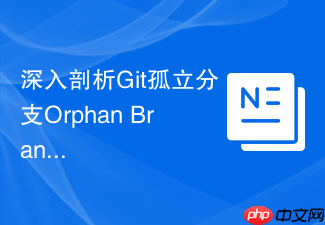 深入剖析git孤立分支orphan branch的创建与应用场景(冷门干货)